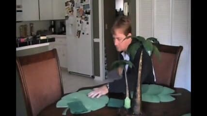 Arianna Labarbara son kitchen breakfast