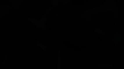 A Girl With Tits 'n' Ass Gets Fucked Good