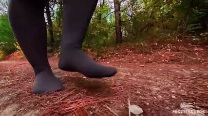 Follow My Footsteps Along The Path In The Evening Lonely Forest