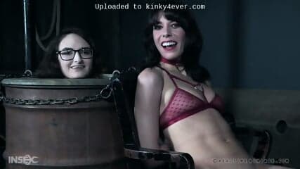 Birthday Slut - Lexi Foxy