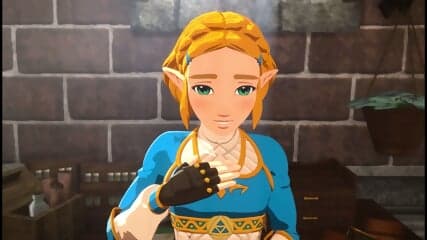 Linkâs adventures (legend of Zelda)