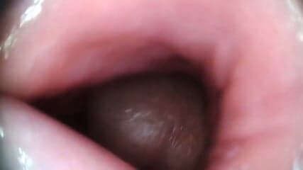 Inside view, as the cock cums in the vagina