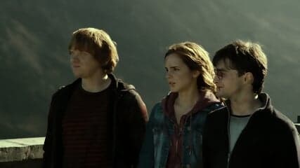 Harry Potter and The Deathly Hallows Part 2 (2011)
