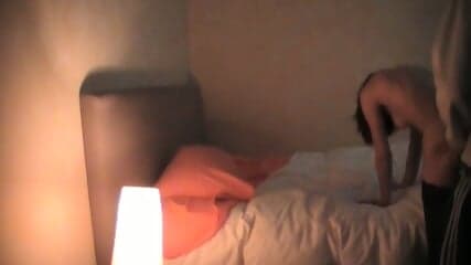 Sonia inculcata grida