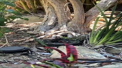 emily âfeld âpoolsid âP Private Collection At spankbang.pics