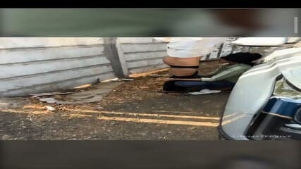 Miss__Malaika outdoor blowjob