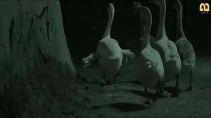 desi masala video 11