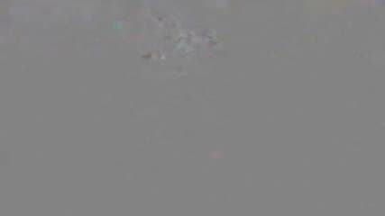 Blonde spreading ass and pussy on cam