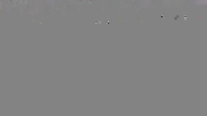 Turkish BBW Swinger Group Girl Threesome