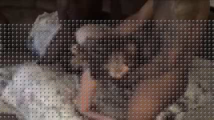 Two Black Guys Fuck Hot Sexy Wife while Husband Films