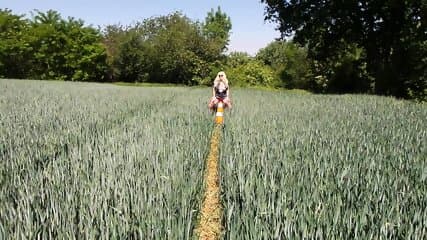 Insertions de cÃ´ne de circulation bizarre en public